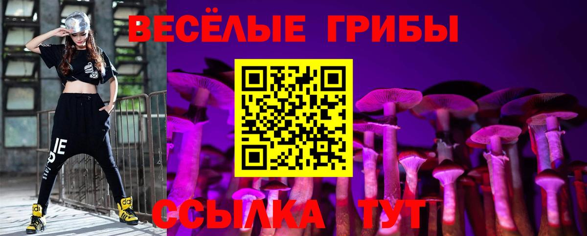 Саянск  Псилоцибиновые грибы MAGIC MUSHROOMS  купить наркотик  Вход с VPN 