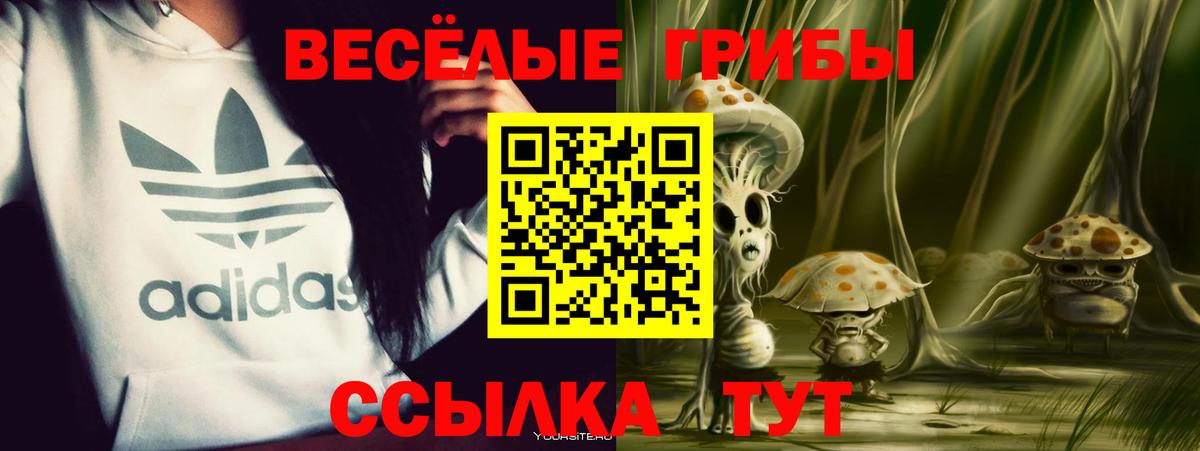 Галлюциногенные грибы GOLDEN TEACHER Саянск